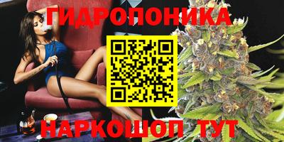 spice Дубна